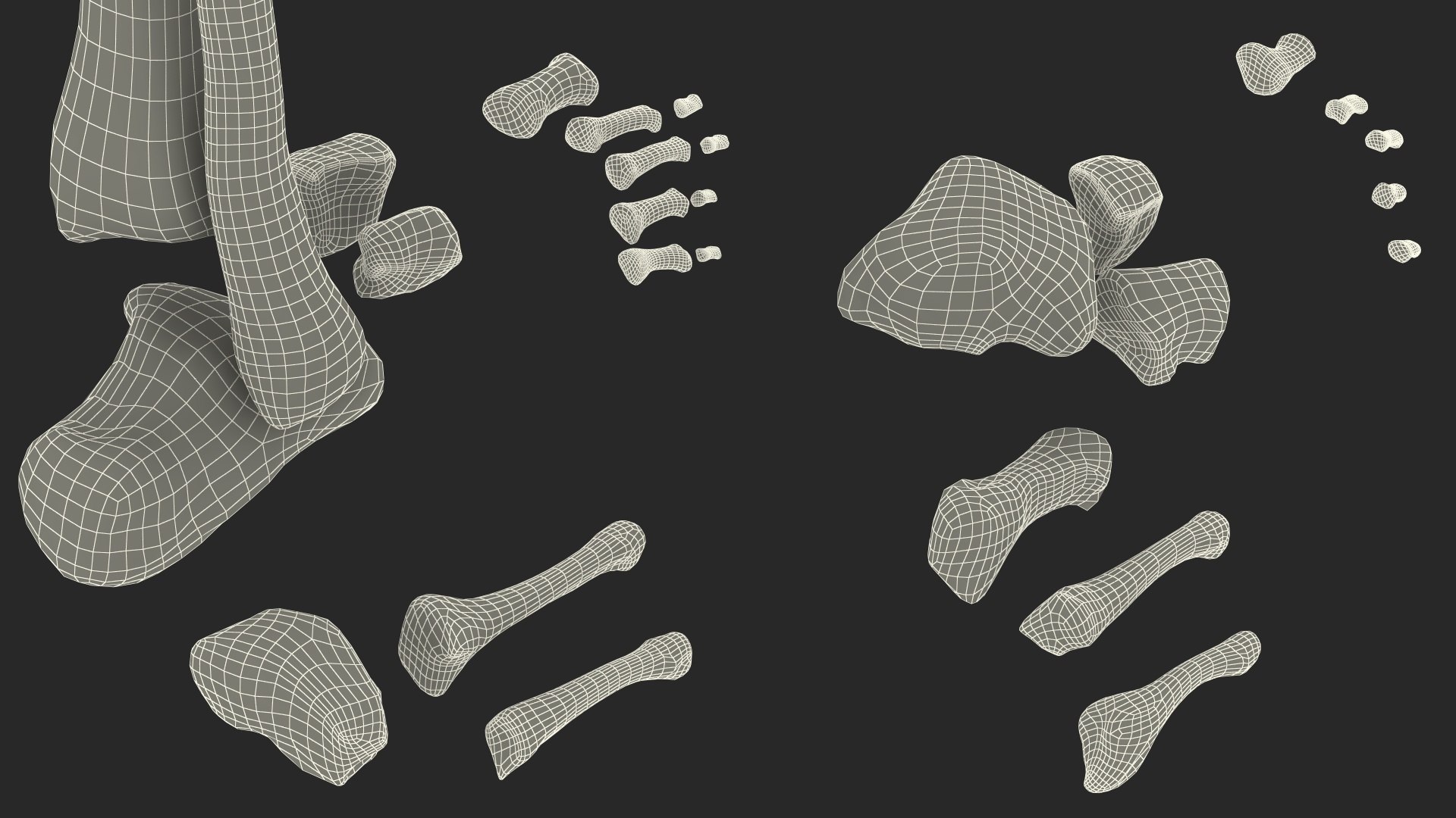 3D model Medical Anatomical Human Skeleton Foot https://p.turbosquid.com/ts-thumb/G4/jL9kTI/ih/medicalanatomicalhumanskeletonfoot3dsmodel032/jpg/1676015927/1920x1080/fit_q87/5e66b7b8dd82452cb57bbb1c3d23ab328c2bb45f/medicalanatomicalhumanskeletonfoot3dsmodel032.jpg