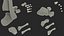 Medical Anatomical Human Skeleton Foot