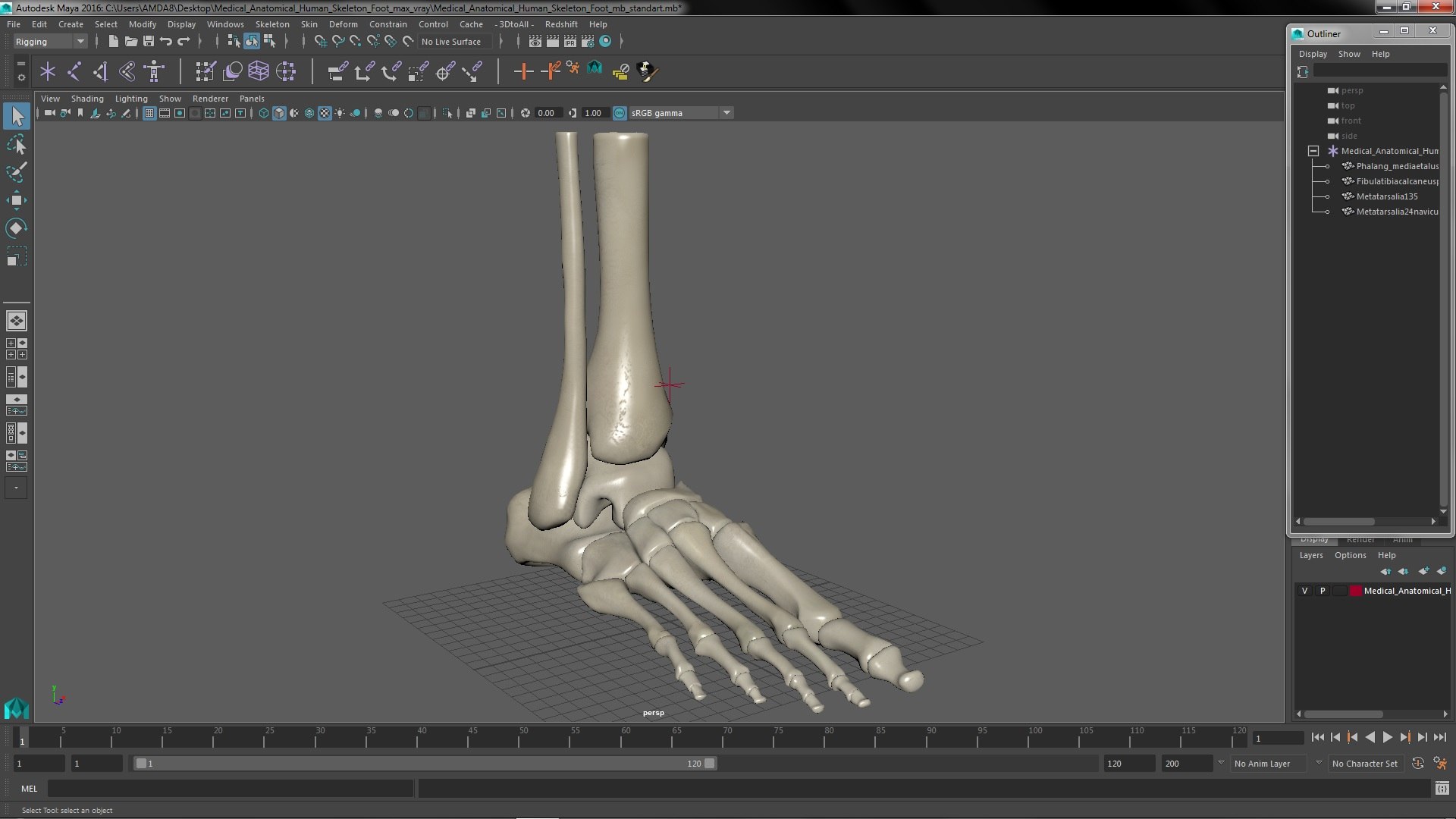 3D model Medical Anatomical Human Skeleton Foot https://p.turbosquid.com/ts-thumb/G4/jL9kTI/kq/medicalanatomicalhumanskeletonfoot3dsmodel026/jpg/1676015903/1920x1080/fit_q87/a4fdcd752c32d5cf0f723b0f4e4945dddfa58a22/medicalanatomicalhumanskeletonfoot3dsmodel026.jpg