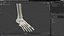 Medical Anatomical Human Skeleton Foot