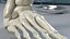 Medical Anatomical Human Skeleton Foot