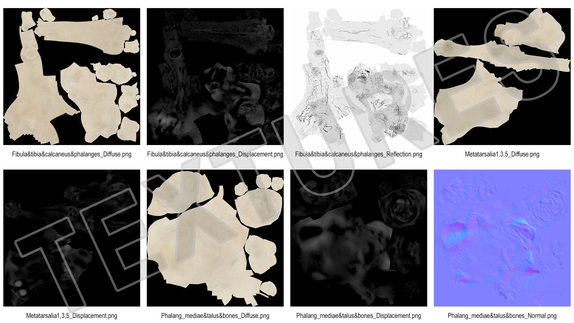 3D model Medical Anatomical Human Skeleton Foot https://p.turbosquid.com/ts-thumb/G4/jL9kTI/up/medicalanatomicalhumanskeletonfoot3dsmodel027/jpg/1676015906/1920x1080/fit_q87/0191baab6024c5baef6c326fc6f393fd971b8d03/medicalanatomicalhumanskeletonfoot3dsmodel027.jpg