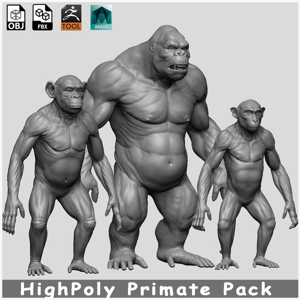 modelo 3d Primate Pack Chimp Gorilla Monkey - TurboSquid 2092595