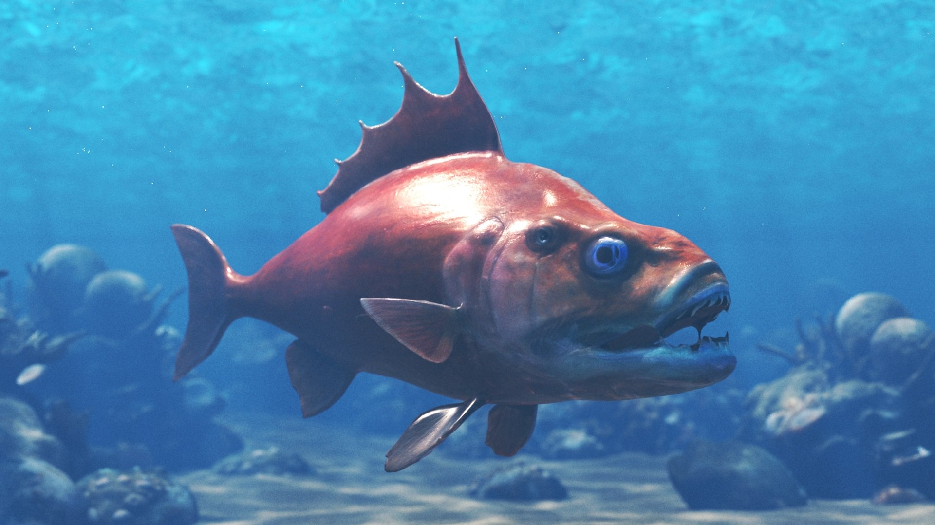 Fish Marine Life Pack Model - TurboSquid 2337883