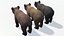 Bear - Cub