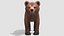 Bear - Cub