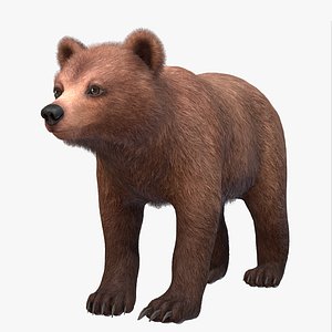 Bear - Cub