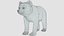 Bear - Cub
