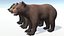 Bear - Cub