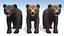 Bear - Cub