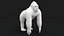 Cartoon Animal Collection 3