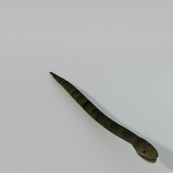 Python snake 3D model - TurboSquid 1340455