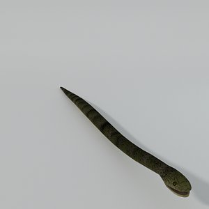 Snake