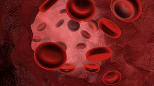 Red Blood cell
