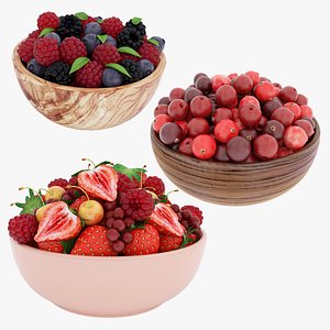 Berry bowl collection 3D