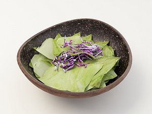 lettuce purple 3d max