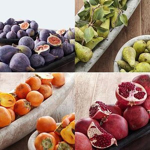 fruit collection model