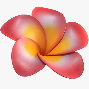 Realistic Plumeria 3D Model - High-Quality 4K PBR Asset 3D model