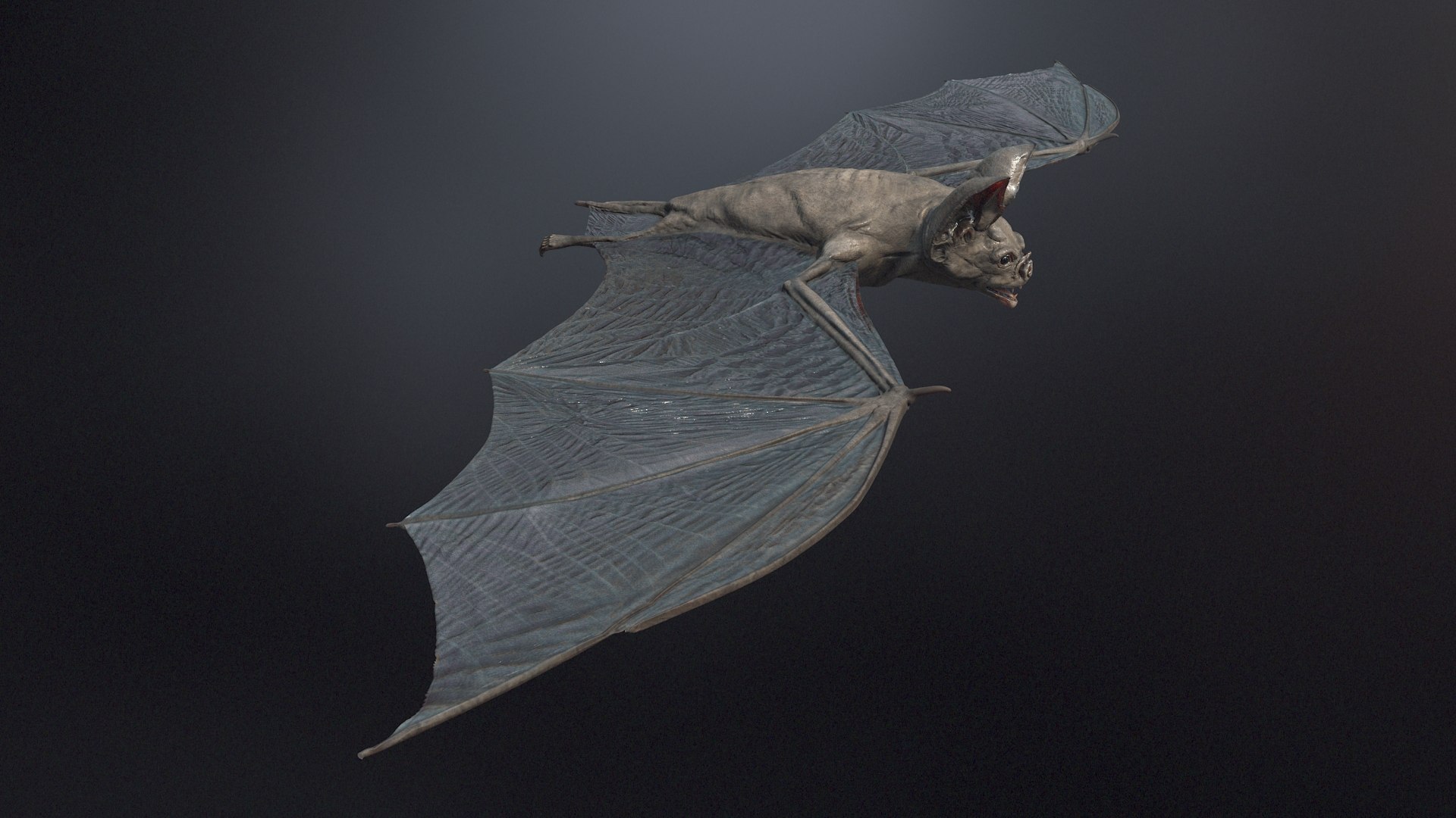 vampire bat 3d model