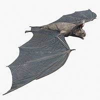 Vampire Bat