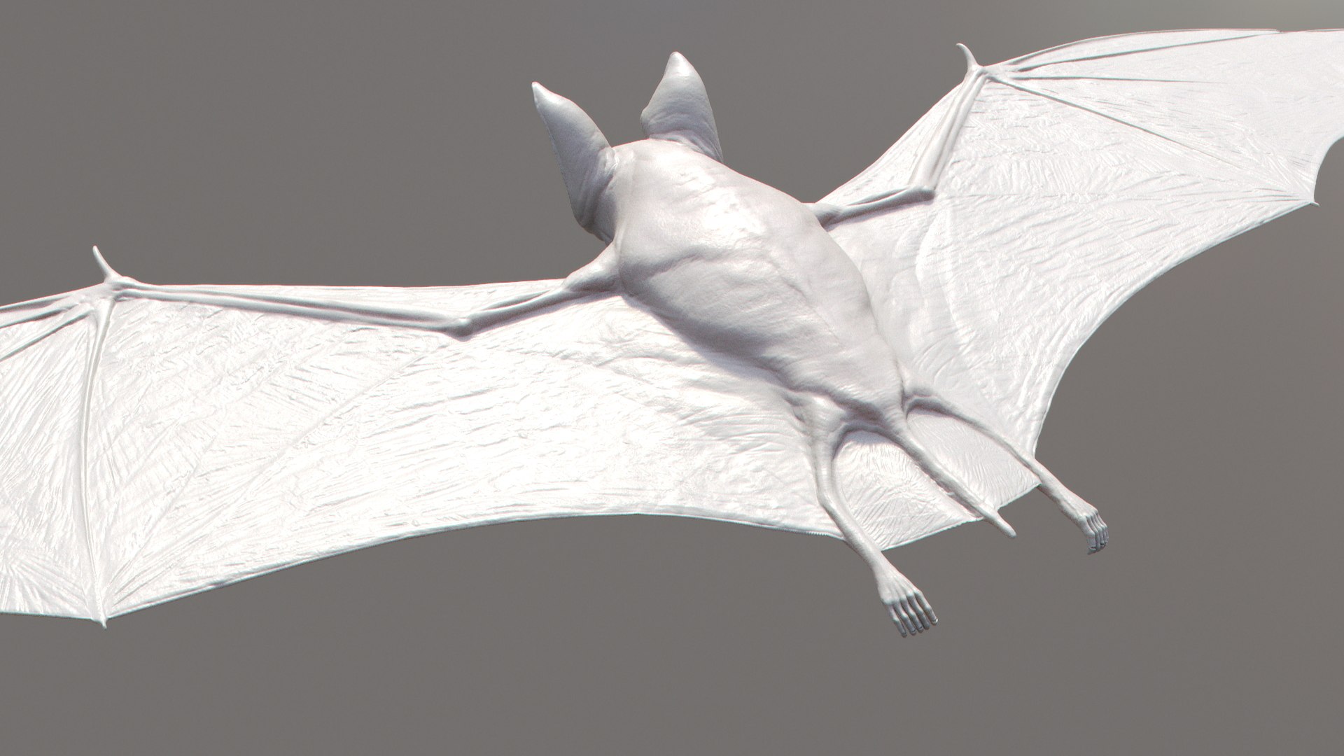 vampire bat 3d model