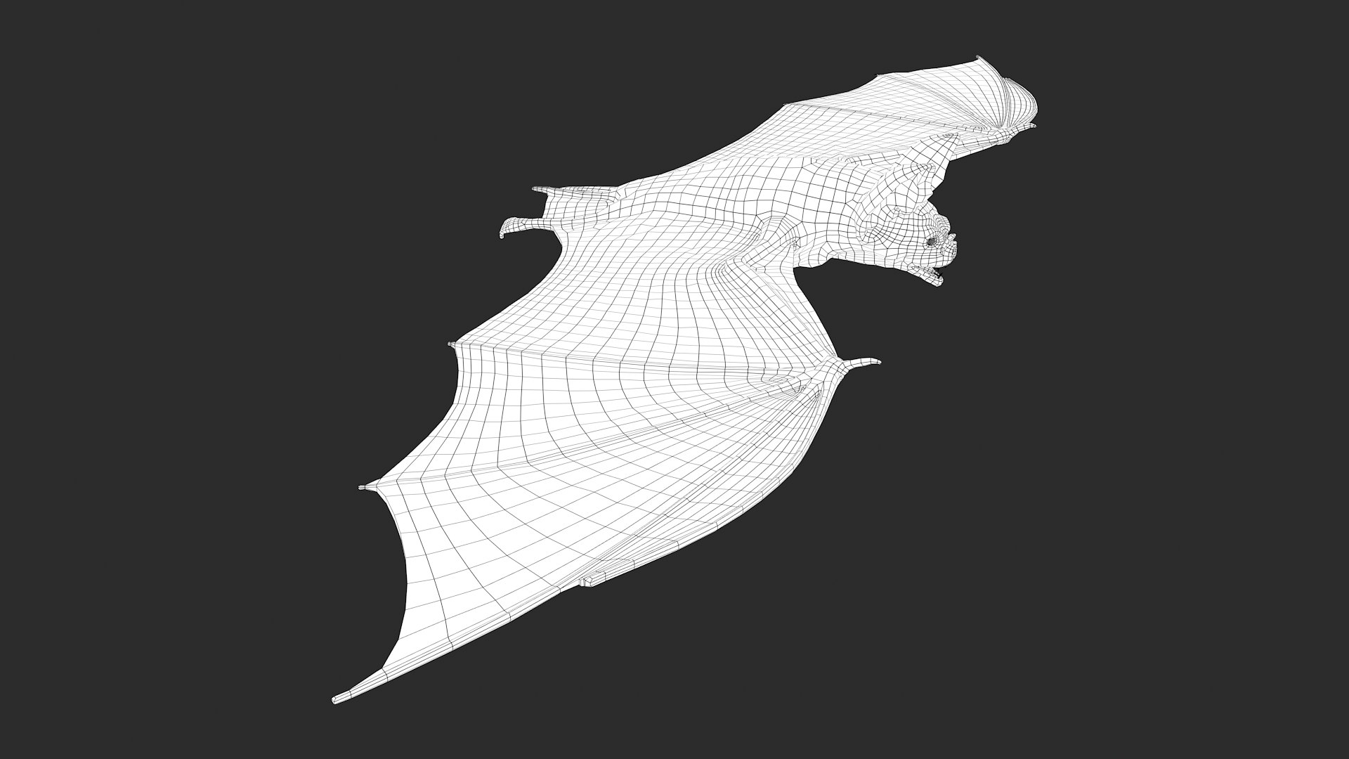 vampire bat 3d model