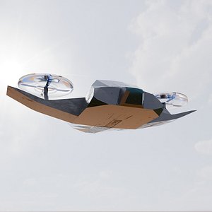 Combat Drone Bomber