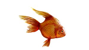 Rigged Golden Fish model