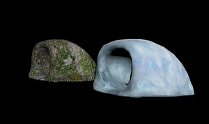 3D model moss cave snow