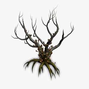 12 trees 4 options model