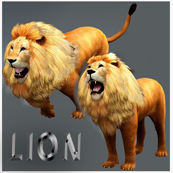 3D KING LION JUNGLE RDAM 3D model