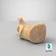 Real  Calcaneus Bone 01