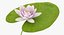 Water Lily Animated