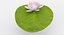 Water Lily Animated
