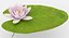 Water Lily Animated