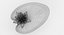 Water Lily Animated