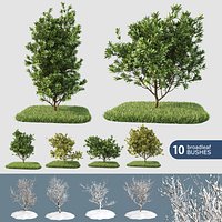Broadleaf 10 Bushes (+GrowFX)
