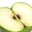 Green Apple Half