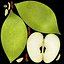 Green Apple Half