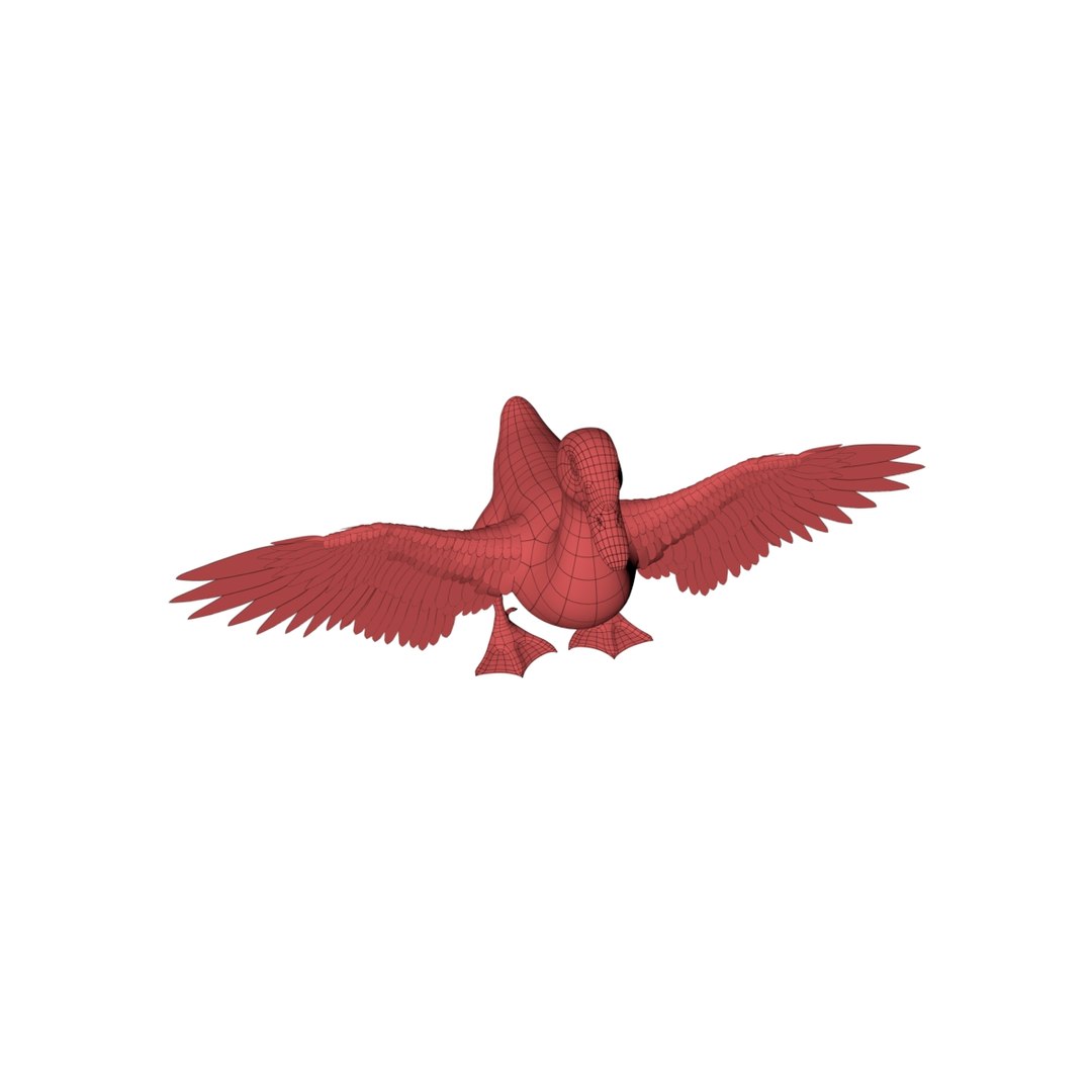 3D Model Base Mesh Duck - TurboSquid 1258014