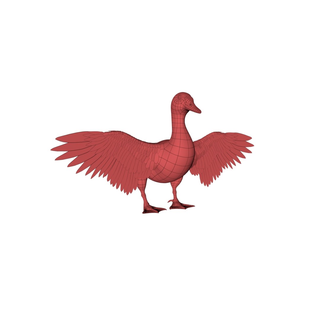3D Model Base Mesh Duck - TurboSquid 1258014