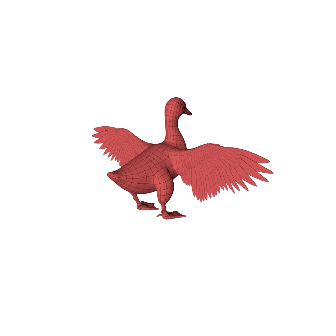 3D Model Base Mesh Duck - TurboSquid 1258014