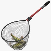 Fishing Net with Caught Yellow Perches