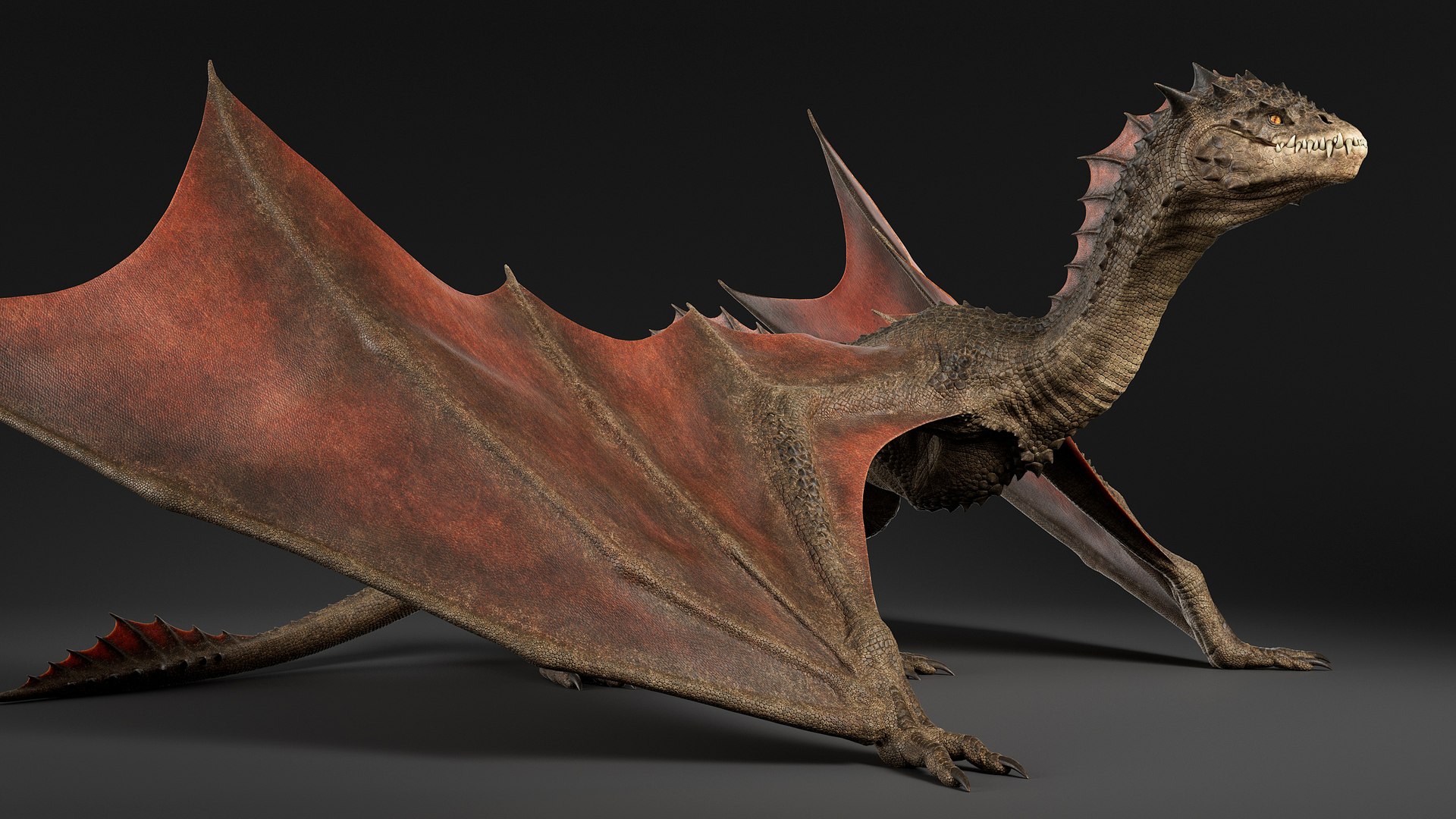 3D Dragon Rigged model https://p.turbosquid.com/ts-thumb/G7/AaU0g3/0r/drggt_001/jpg/1718391030/1920x1080/fit_q87/0ed800204c29f5aedd11538e2e06a9869b44b35d/drggt_001.jpg