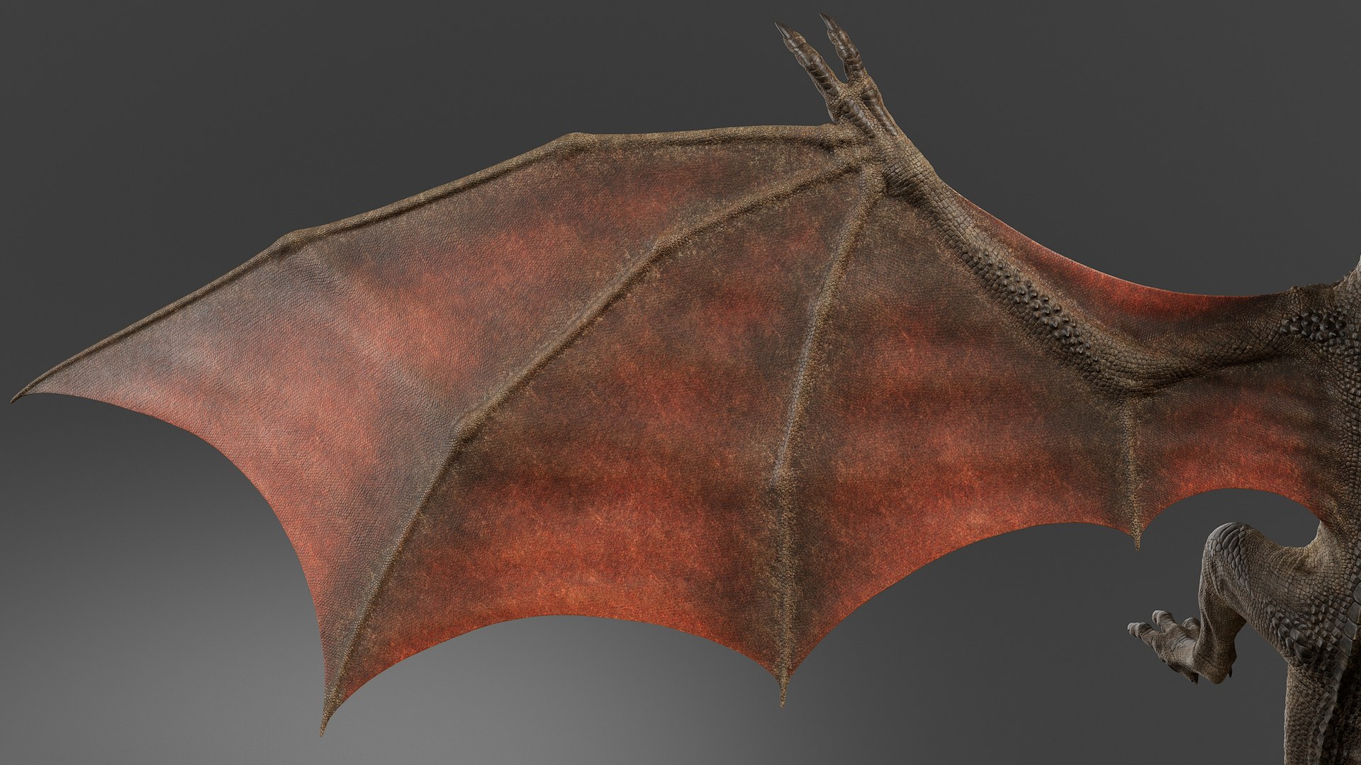 3D Dragon Rigged model https://p.turbosquid.com/ts-thumb/G7/AaU0g3/KG/drgb_015/jpg/1718391334/1920x1080/fit_q87/8ab0cdcd1864e2225c94dbe3d2bff0d6dfabf76d/drgb_015.jpg