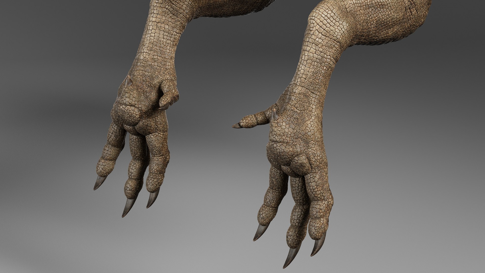 3D Dragon Rigged model https://p.turbosquid.com/ts-thumb/G7/AaU0g3/Kw/drgb_005/jpg/1718391330/1920x1080/fit_q87/c083992b760863a3928189ea02e2e5edc106251d/drgb_005.jpg