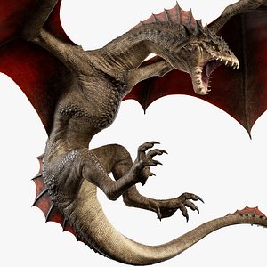 Dragon Rigged