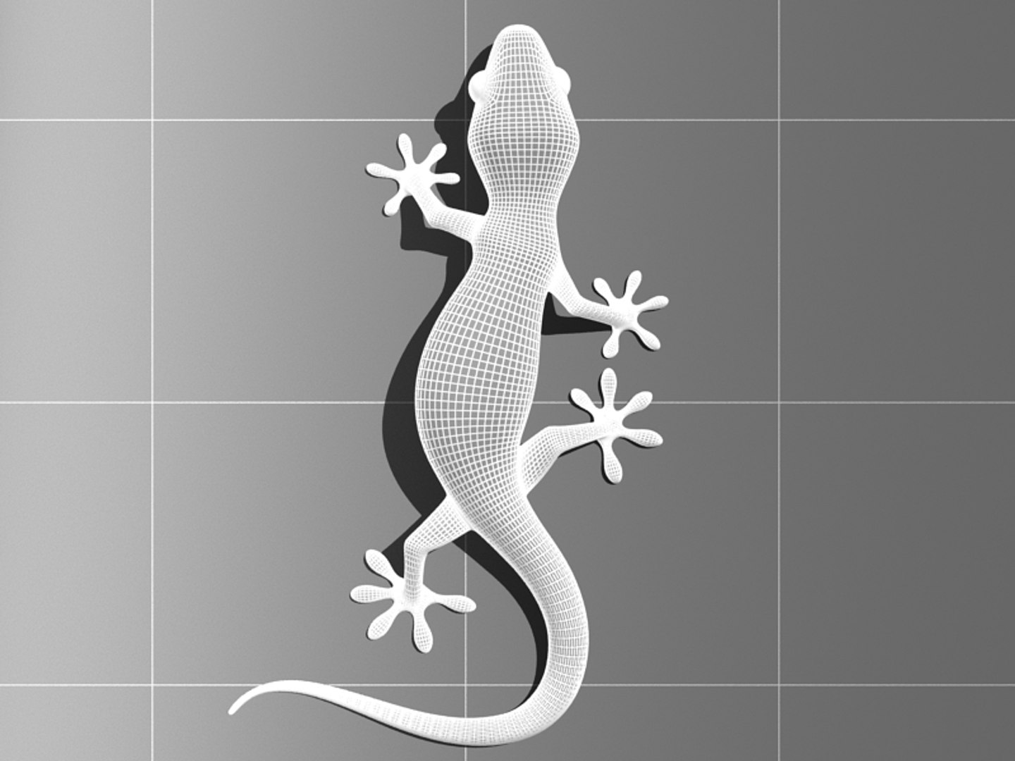 max gecko