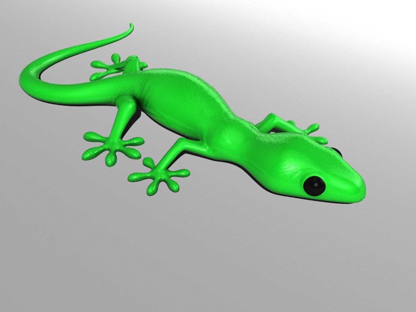 max gecko