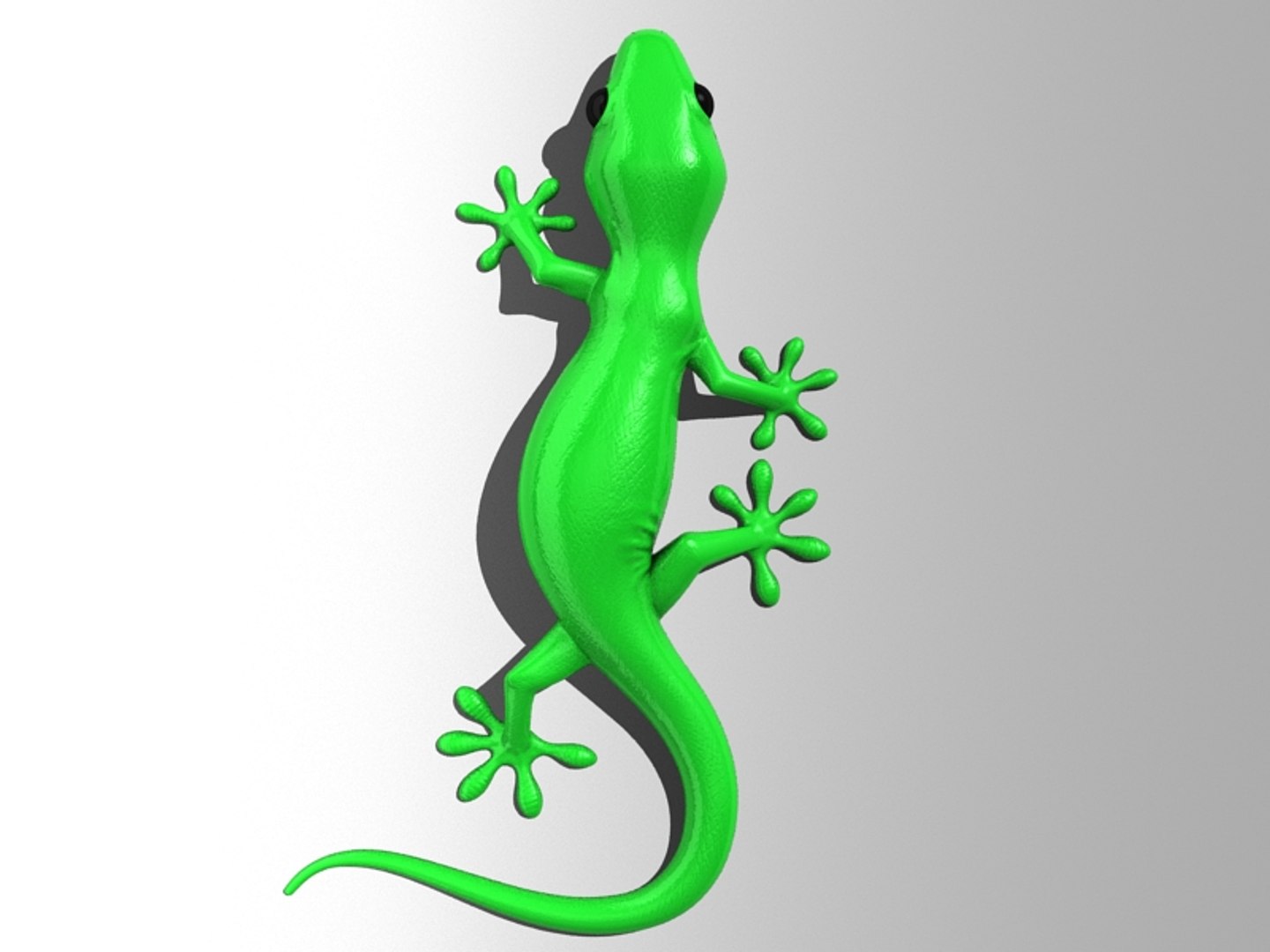 max gecko